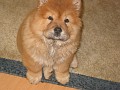 20100811_Lucky